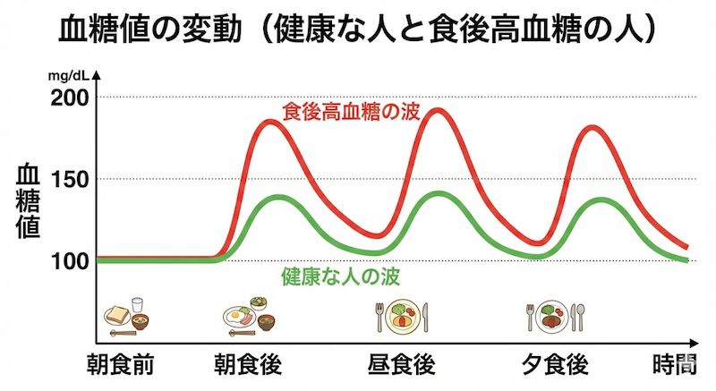 血糖値の変動（健康な人と食後高血糖の日と）